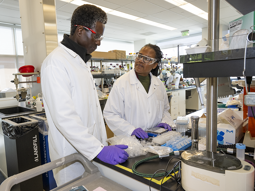 Two GEM program participants working at laboratory station.