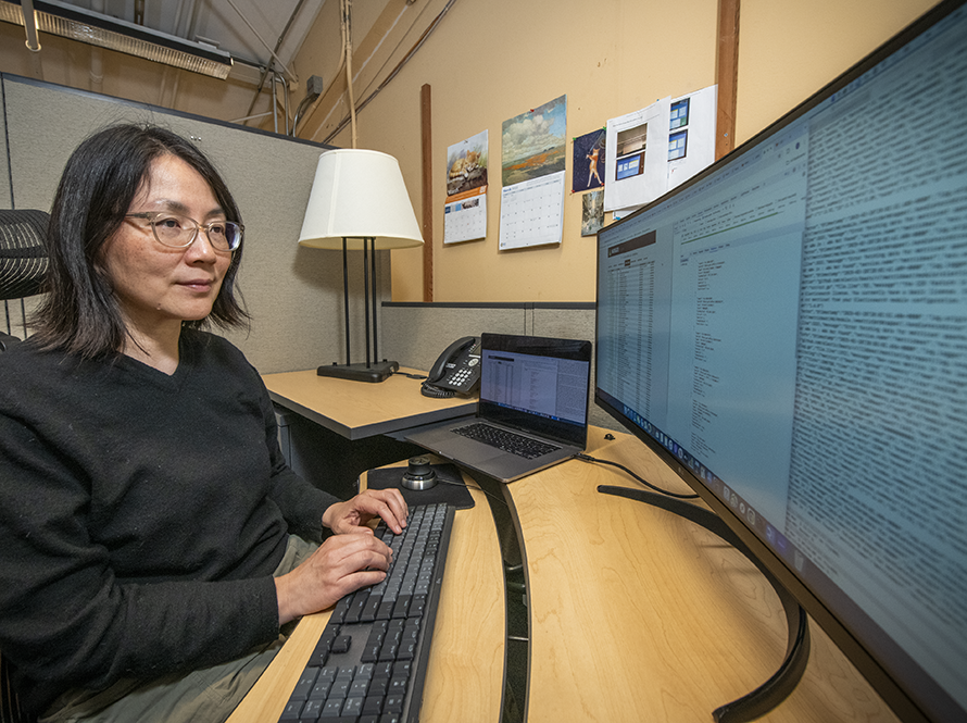 Developer working on software project.