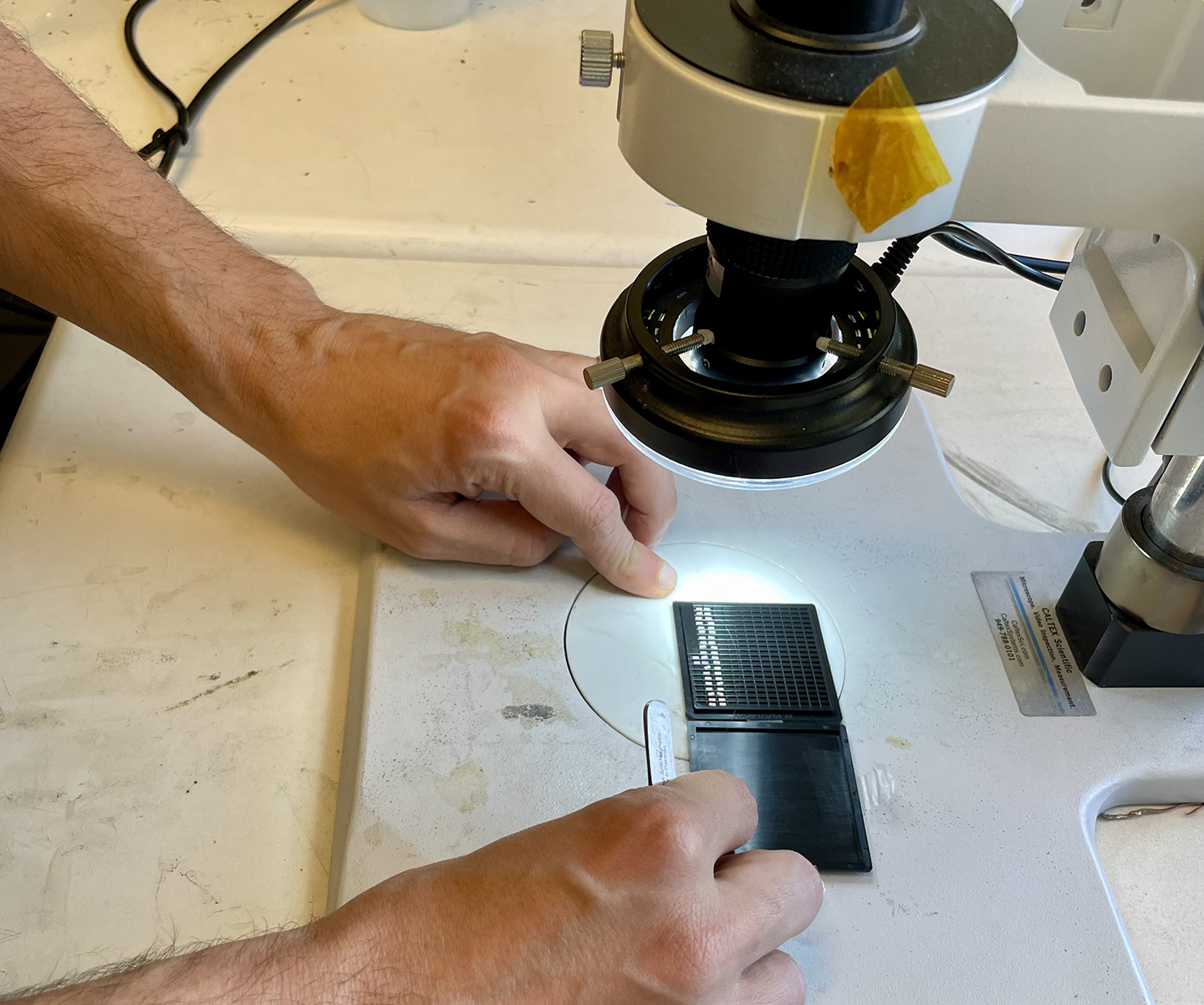 A black, business-card-sized holder contains tiny silver microchips under a magnifying device.